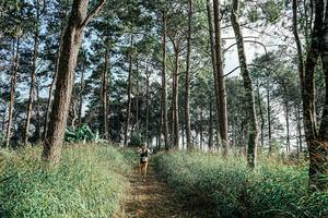 BIB: 
                            <button type="button" onclick="openModal(25657555)" class="btn btn-primary btn-sm float-right btn-popup" data-toggle="modal" data-target=".modal-high-quality">
                        <i class="fas fa-shopping-cart"></i> Add to Cart
                    </button>
                                            <button type="button" onclick="isThisMe(25657555, true)" class="btn btn-success btn-sm float-right btn-popup btn-isme hidden" data-toggle="tooltip" data-placement="bottom" title="นี่คือรูปของคุณใช่ไหม คลิกที่นี่เพื่อเอาเข้าอัลบั้ม">
                        <i class="fas fa-plus"></i> Add to album
                    </button>
                    <button type="button" onclick="isThisMe(25657555, false)" class="btn btn-warning btn-sm float-right btn-popup btn-isnotme hidden">
                        <i class="fas fa-ban"></i> Remove from album
                    </button>